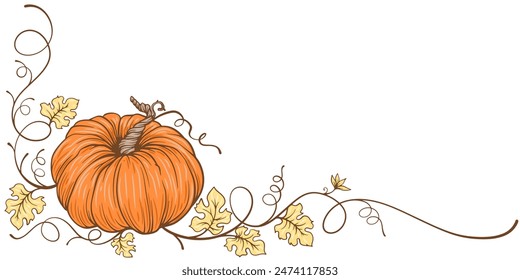 Pumpkin thanksgiving element vector illustration