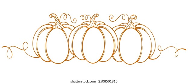 Pumpkin thanksgiving element vector illustration