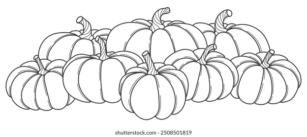 Pumpkin thanksgiving element vector illustration