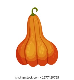 Pumpkin as Thanksgiving Feast Symbol Vector Illustration