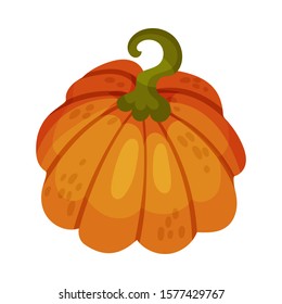 Pumpkin as Thanksgiving Feast Symbol Vector Illustration