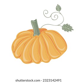 Pumpkin. Thanksgiving and Halloween Elements for autumn decorative design, halloween invitation, harvest. Vector illustration