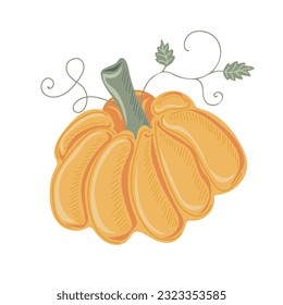 Pumpkin. Thanksgiving and Halloween Elements for autumn decorative design, halloween invitation, harvest. Vector illustration