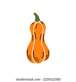 Pumpkin. Thanksgiving and Halloween Elements. Hand drawn vector illustration.