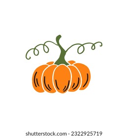Calabaza. Elementos de Acción de Gracias y Halloween. Ilustración vectorial dibujada a mano.