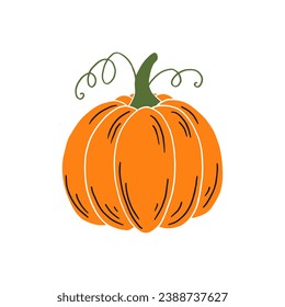 Pumpkin. Thanksgiving and Halloween Elements. Hand drawn vector illustration.