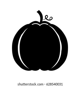 pumpkin thanksgiving isolated icon