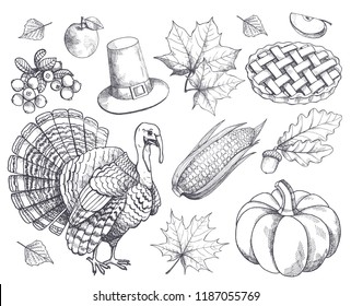 Pumpkin Thanksgiving Symbols Monochrome Sketches Outline Stock Vector ...