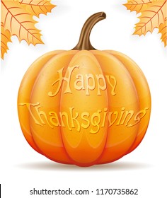 pumpkin thanksgiving vector illustration isolated on white background