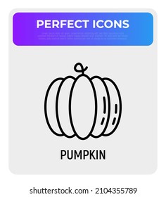 Pumpkin thin line icon, symbol of Halloween. Modern vector illustration