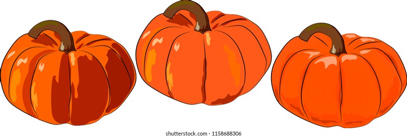 pumpkin in three versions on white background