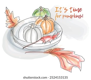 Pumpkin time, three types of pumpkin, colorful autumn at home on a plate - vector illustration