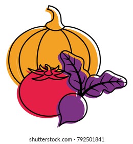 pumpkin tomato and beet vegetables fresh