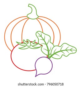 pumpkin tomato and beet vegetables fresh