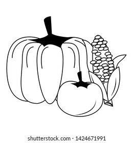 Pumpkin and tomato with corn fresh vegetables vector illustration graphic design