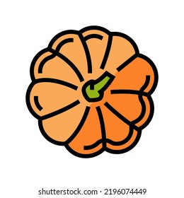 vector de icono de color de vista superior de calabaza. signo de vista superior de calabaza. ilustración de símbolo aislado