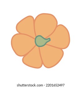 Ilustración plana de la vista superior de la calabaza. Calabaza naranja vectorial aislada