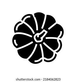 pumpkin top view glyph icon vector. pumpkin top view sign. isolated symbol illustration