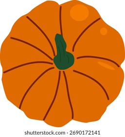 Vista superior de abóbora isolada. Vetor