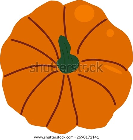 Pumpkin top view isolated. Vector