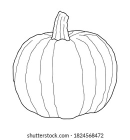Pumpkin transparent vector illustration isolated on white background. Healthy vegetarian food. Doodle style. Decoration for greeting cards, posters, patches, prints for clothes, emblems.