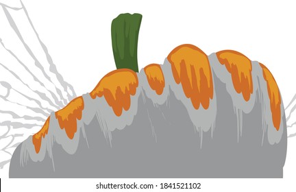 Pumpkin trapped in silk and a spider web, isolated over white background.