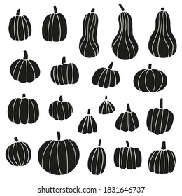 Pumpkin trendy monochrome  vector illustration. Doodle drawing black various shapes pumpkins. Thanksgiving and Halloween Elements.