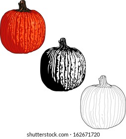 Pumpkin Trio 1