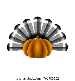 Pumpkin with turkey feathers on a white background, Vector illustration