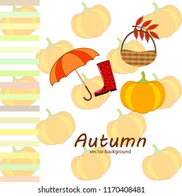 pumpkin umbrella rubber boots fallen leaf basket autumnal vector background