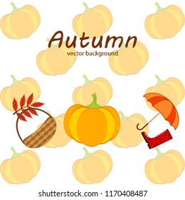 pumpkin umbrella rubber boots fallen leaf basket autumnal vector background