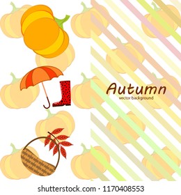 pumpkin umbrella rubber boots fallen leaf basket autumnal vector background