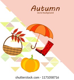 pumpkin umbrella rubber boots fallen leaf basket autumnal vector background