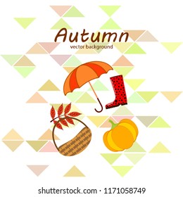 pumpkin umbrella rubber boots fallen leaf basket autumnal vector background