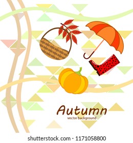 pumpkin umbrella rubber boots fallen leaf basket autumnal vector background