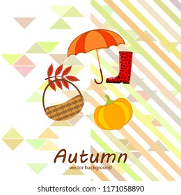 pumpkin umbrella rubber boots fallen leaf basket autumnal vector background