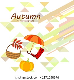 pumpkin umbrella rubber boots fallen leaf basket autumnal vector background