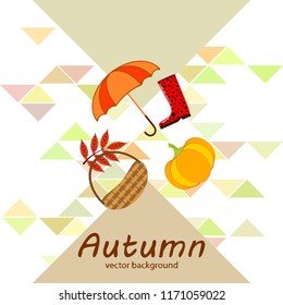 pumpkin umbrella rubber boots fallen leaf basket autumnal vector background