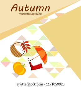 pumpkin umbrella rubber boots fallen leaf basket autumnal vector background