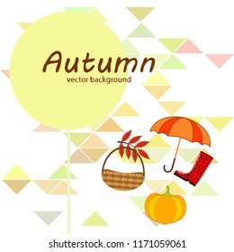 pumpkin umbrella rubber boots fallen leaf basket autumnal vector background