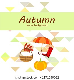 pumpkin umbrella rubber boots fallen leaf basket autumnal vector background