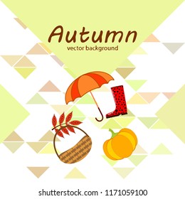 pumpkin umbrella rubber boots fallen leaf basket autumnal vector background