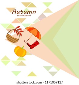 pumpkin umbrella rubber boots fallen leaf basket autumnal vector background