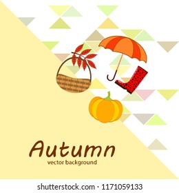 pumpkin umbrella rubber boots fallen leaf basket autumnal vector background