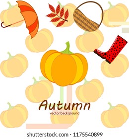 pumpkin umbrella rubber boots fallen leaf basket autumnal vector background