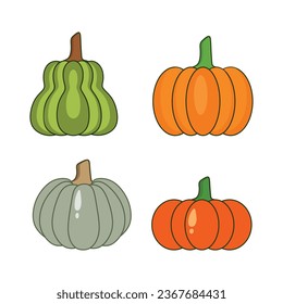 Pumpkin varieties for cooking or make pastry