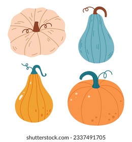 Pumpkin of various shapes and colors