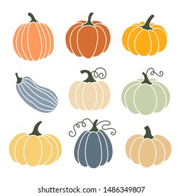 Pumpkin of various shapes and colors. Thanksgiving and Halloween Elements.