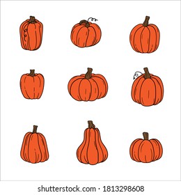 Pumpkin of various shapes and colors. Thanksgiving and Halloween Elements