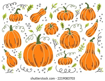 Pumpkin of various shapes. Thanksgiving and Halloween Elements. Hand drawn vector illustration.